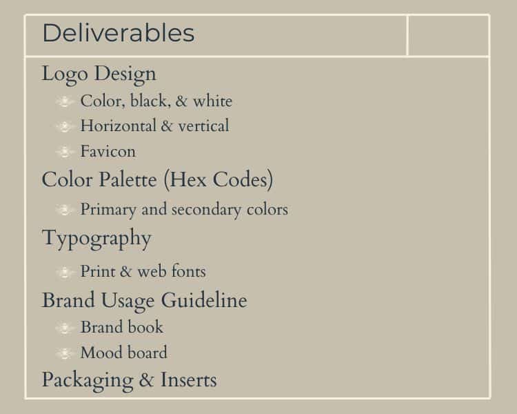 brand strategy and visual identity